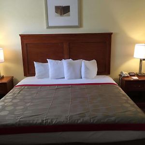 King Room Mobility accessible
